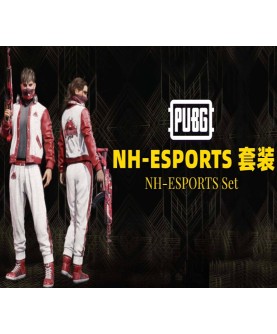 PUBG - NH-ESPORTS Set DLC Digital Steam Key GLOBAL